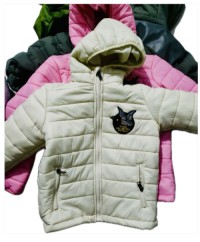 Winter Jacket (Men and women)